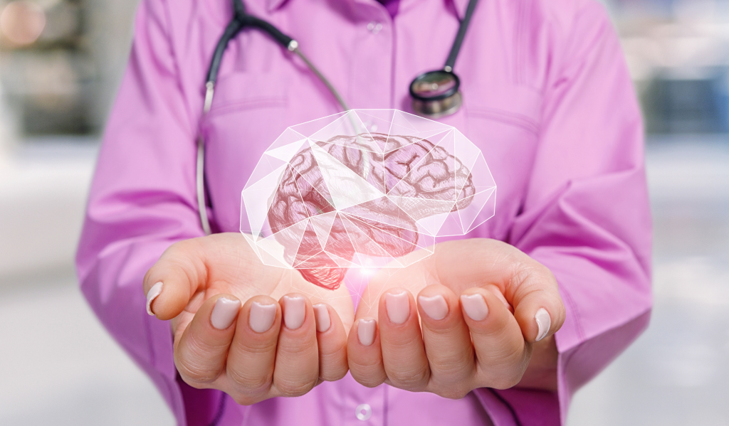 Borovnica zdravlje mozga