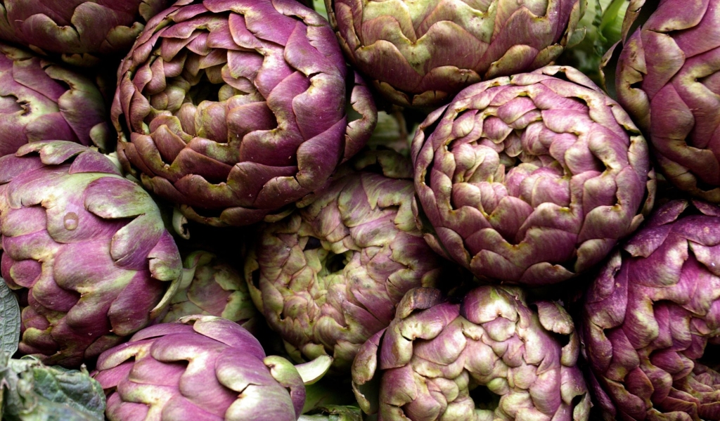 artičoke