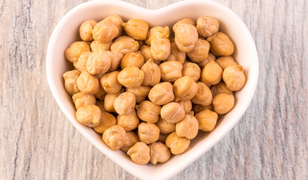 izvor proteina
