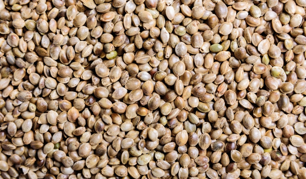 izvor proteina