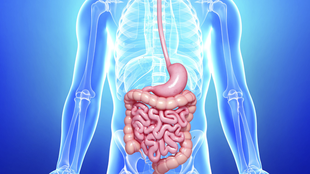 zašto treba vežbati