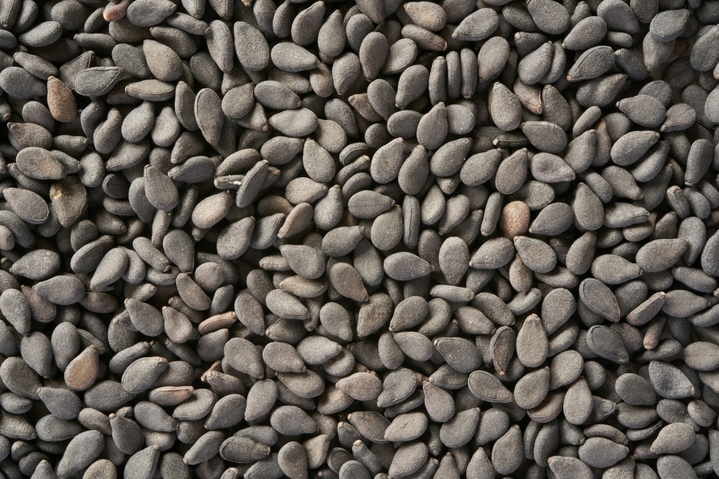 anemija