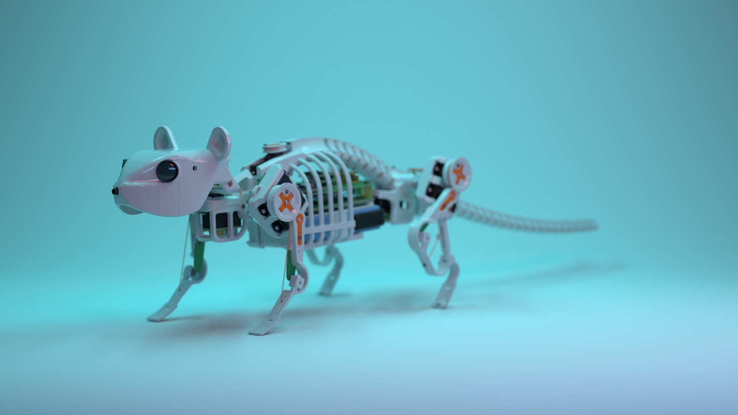 NeRmo robot