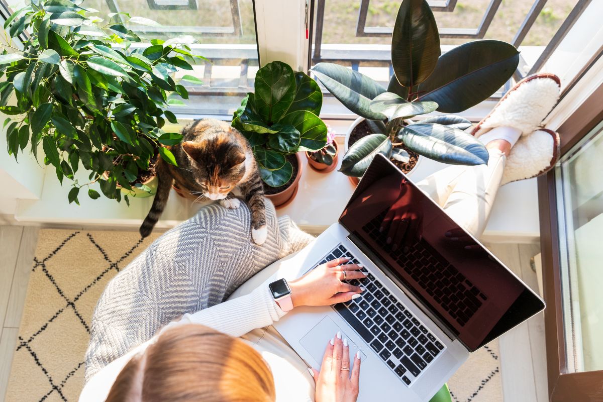 freelance poslovi