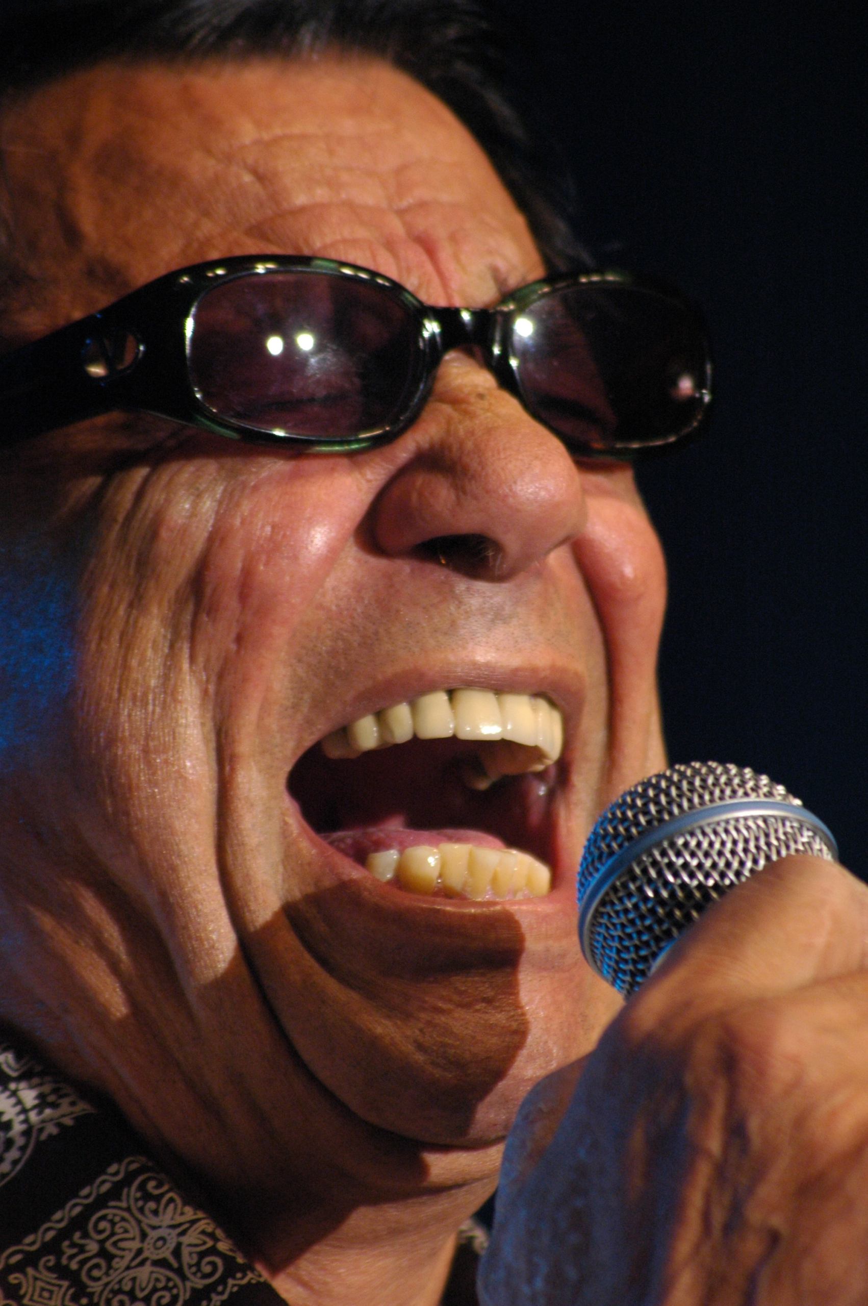 Grad Niš ukida bulevar Šabana Bajramovića