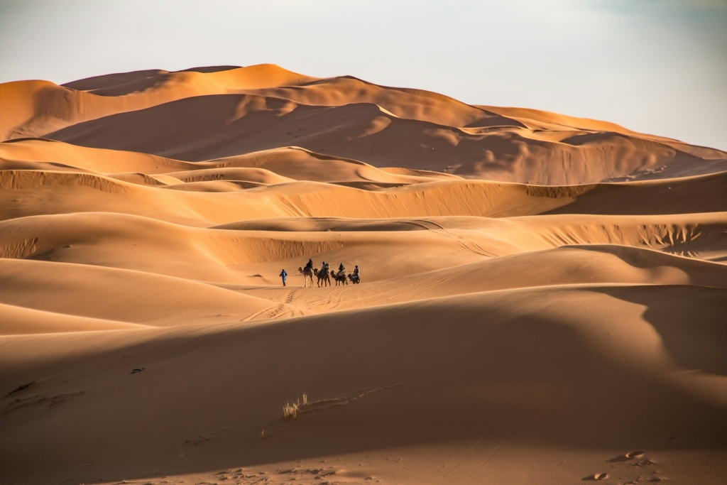 Zanimljive činjenice o pustinji Sahara
