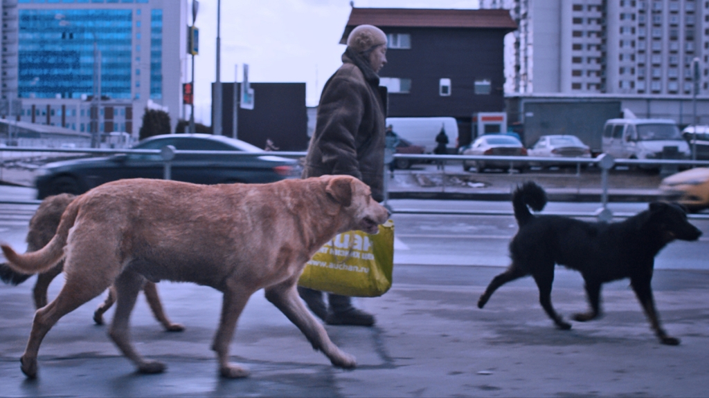 Međunarodni takmičarski program 17. Beldocs festivala