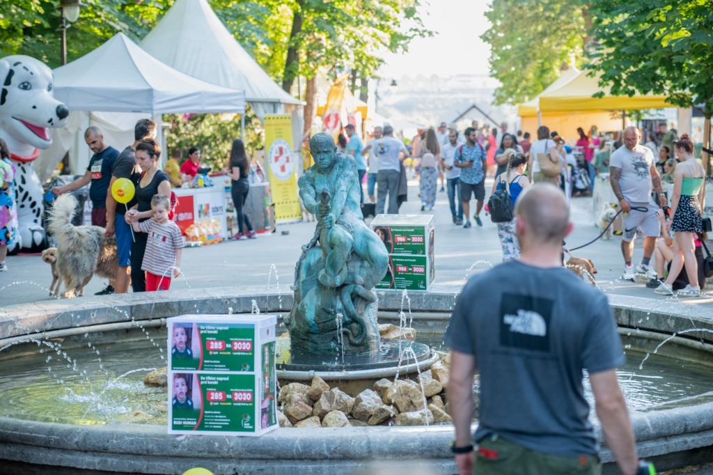 „ULIČNI PSI” FESTIVAL PASA SVIH RASA NA KALEMEGDANU