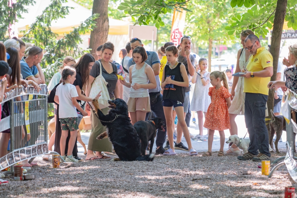 „ULIČNI PSI” FESTIVAL PASA SVIH RASA NA KALEMEGDANU