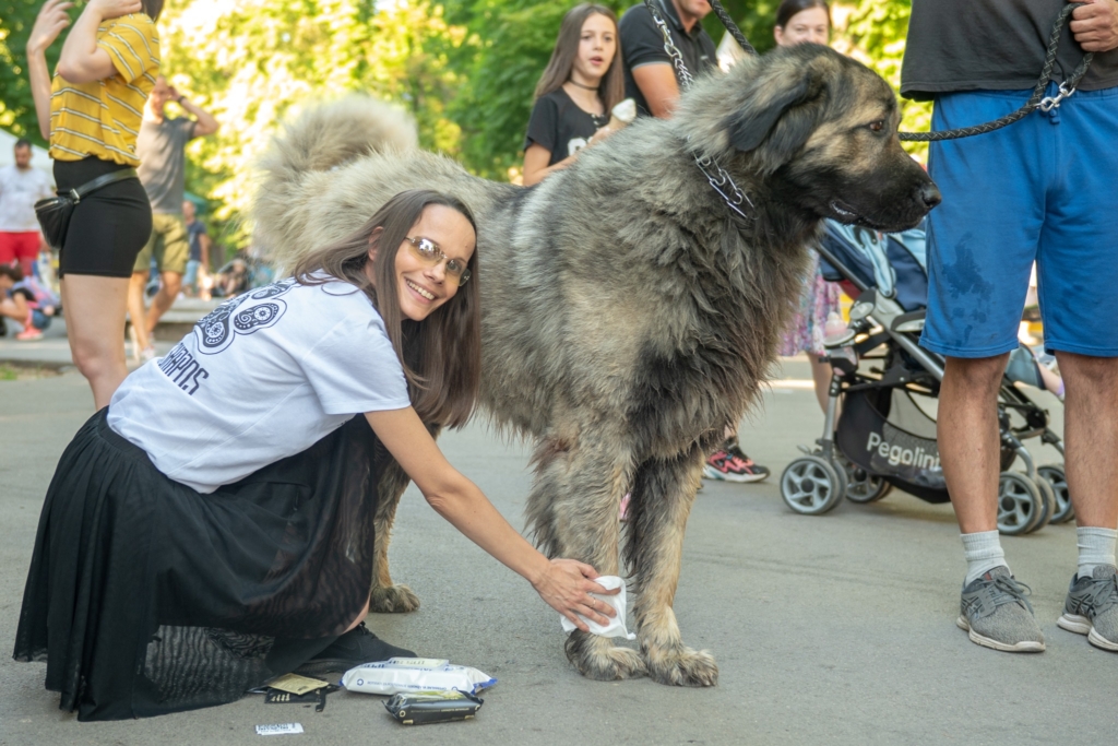 „ULIČNI PSI” FESTIVAL PASA SVIH RASA NA KALEMEGDANU