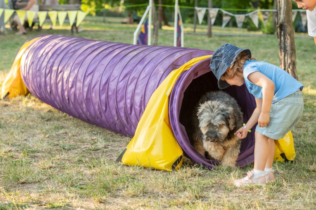 „ULIČNI PSI” FESTIVAL PASA SVIH RASA NA KALEMEGDANU