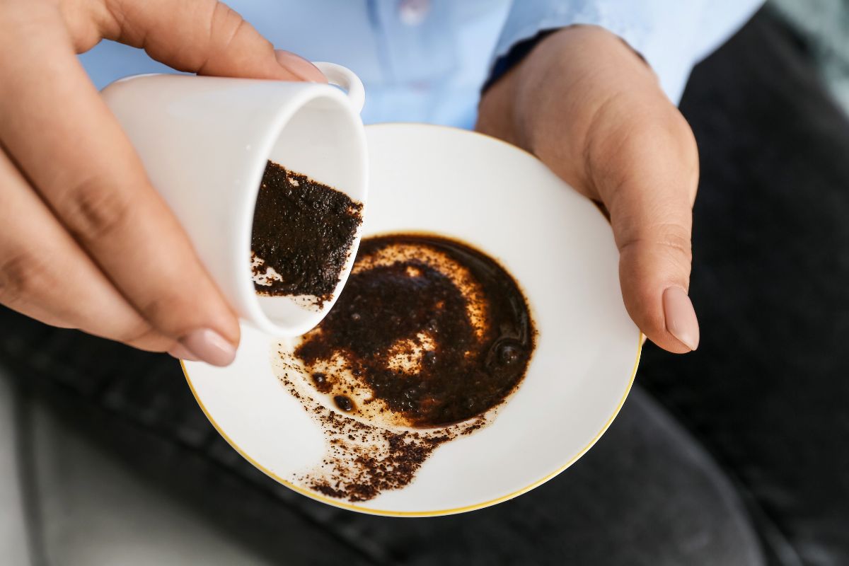 Talog od kafe