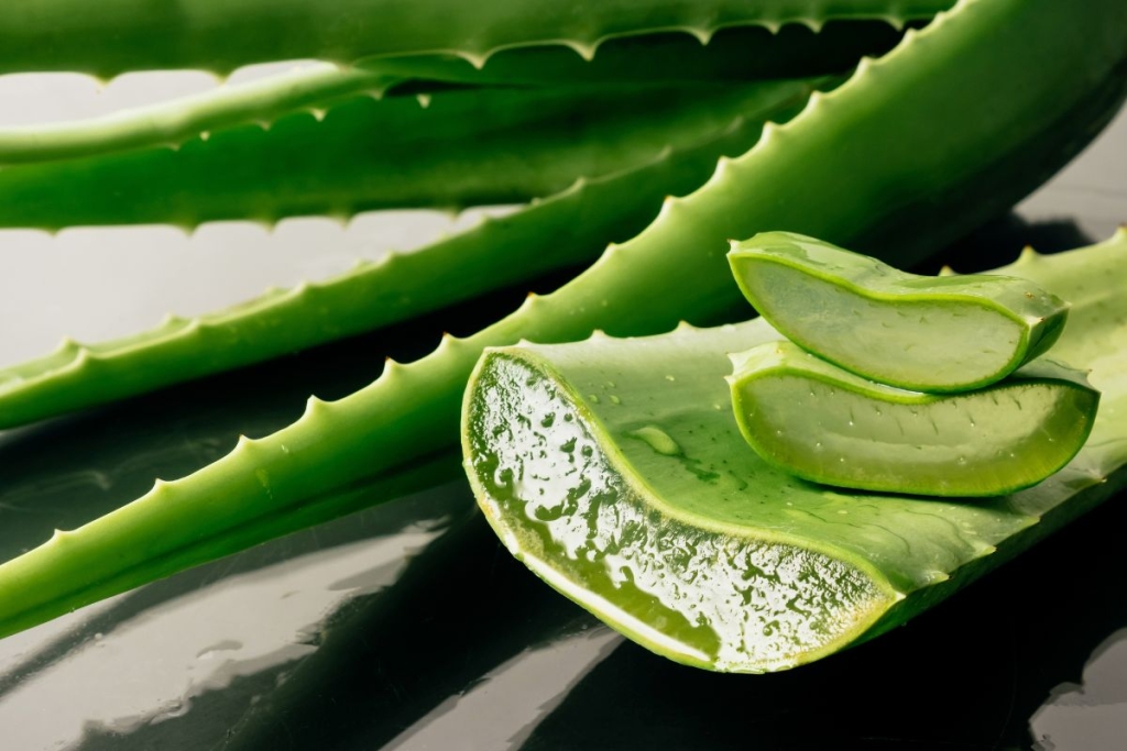 Zdravstvene prednosti aloe vere