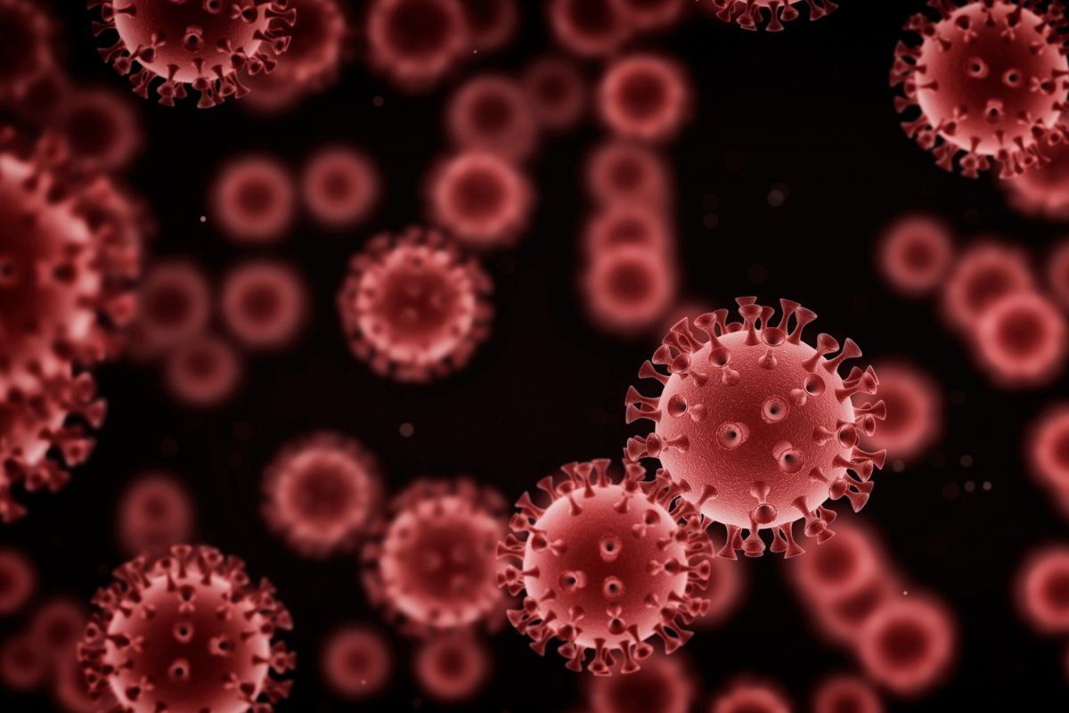 razlika izmedju bakterijske i virusne infekcije