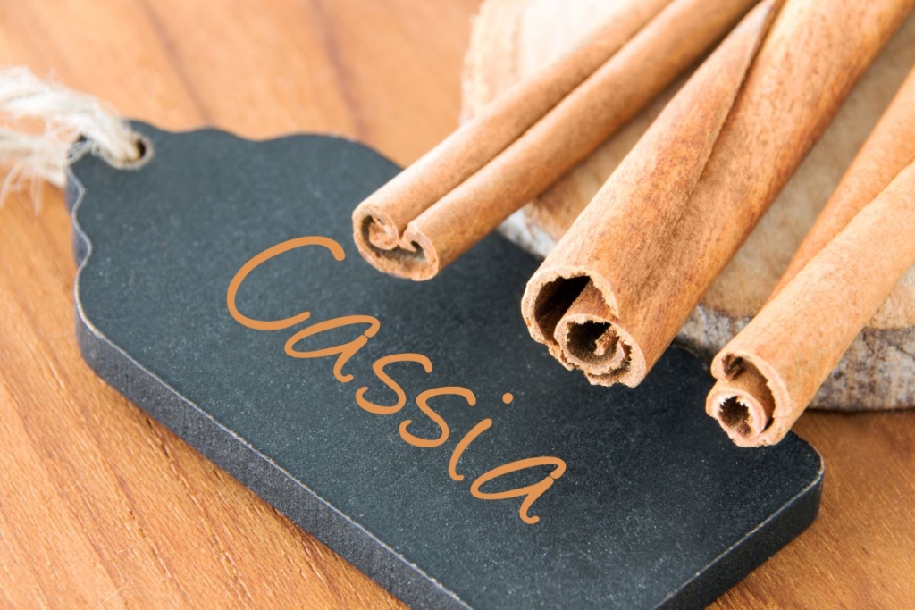 Cassia cimet