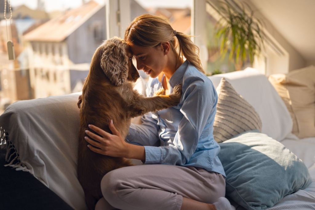 jačanja veze sa svojim psom.