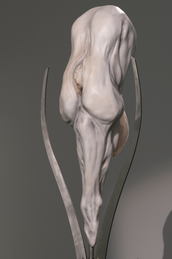 MO.CO. Montpellier Contemporain Photo Marc Domage