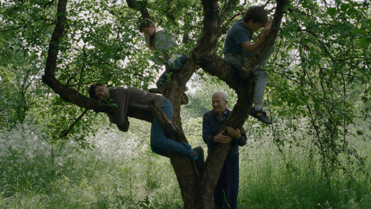 Vetre, pričaj sa mnom