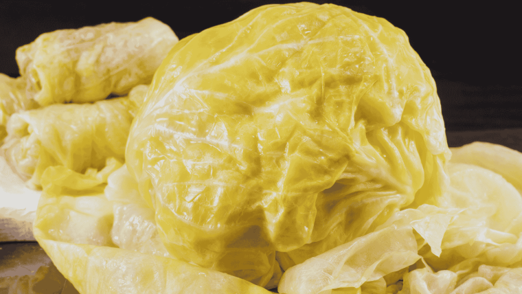 sorte kupusa za kiseljenje