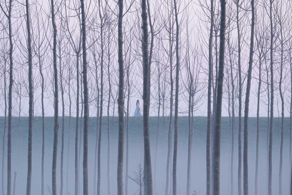 Beograd Film Festival