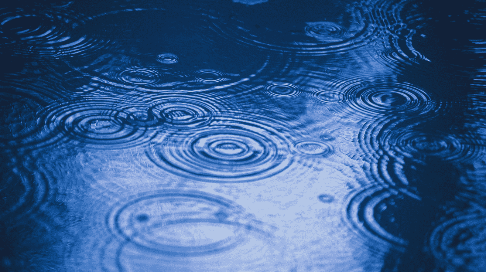 The sound of rain