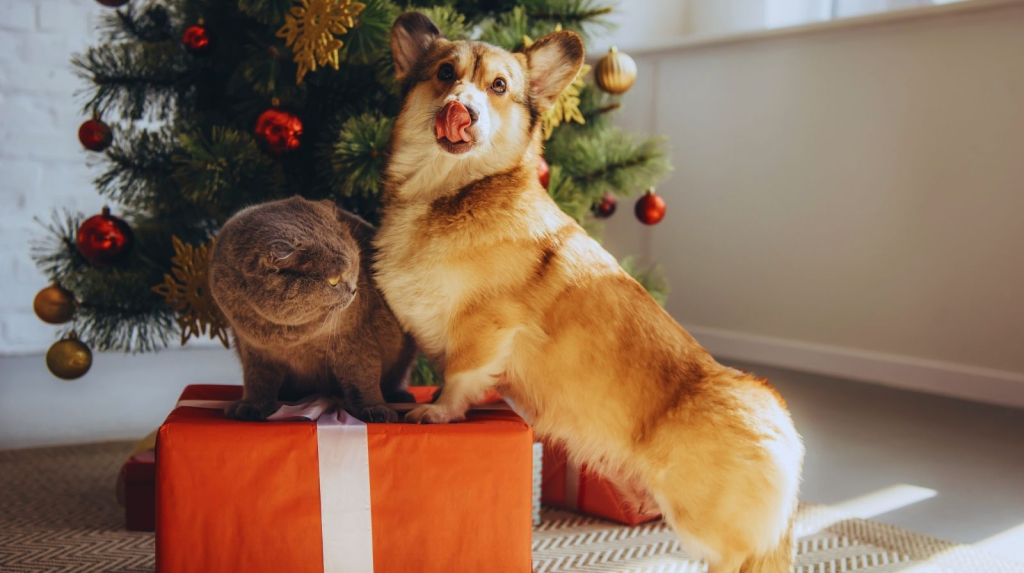 inteligencija pasa i učenje reči