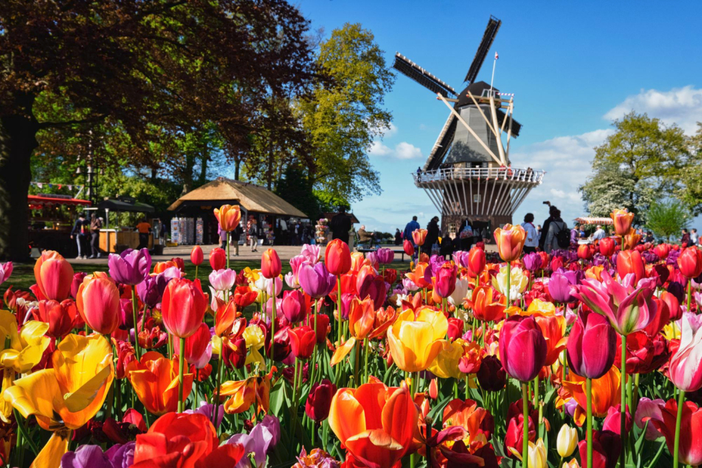 Keukenhof