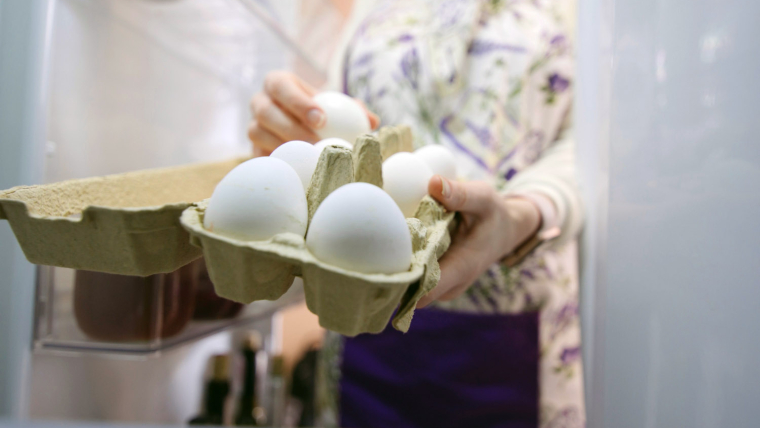 egg storage