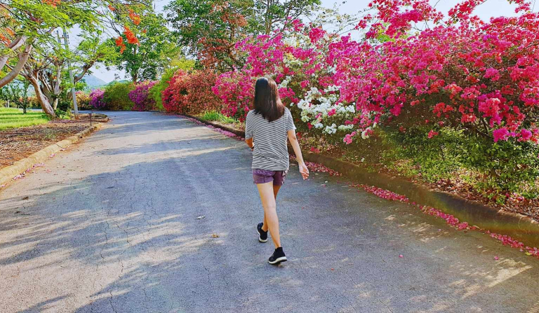 Prednosti jutarnje šetnje