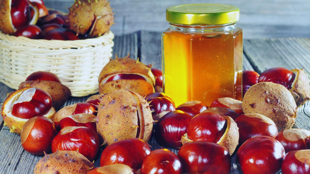 Kestenov med zdravlje lekovitost