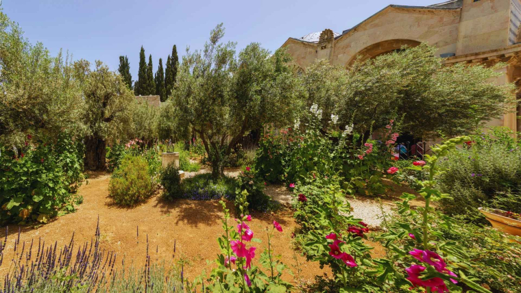 mediteranski vrt