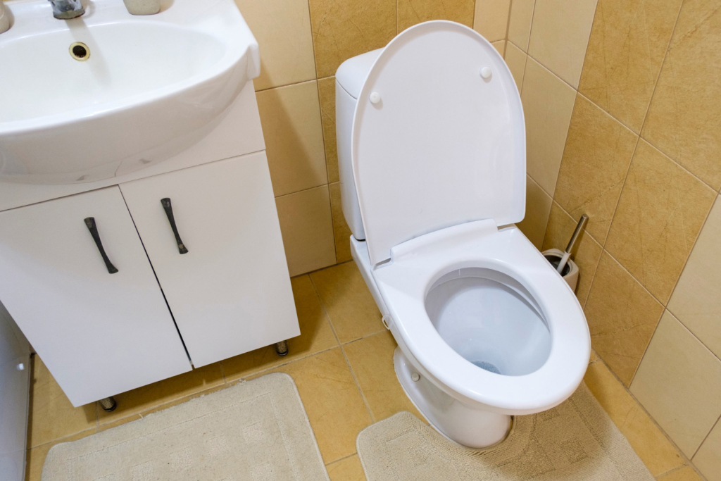 Neispravna wc šolja