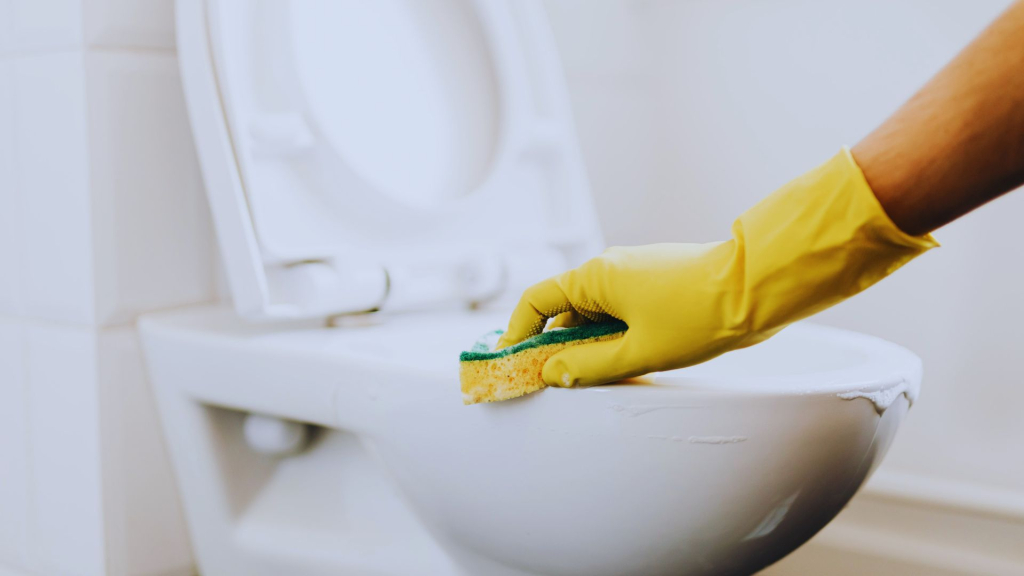 Zamena wc šolje