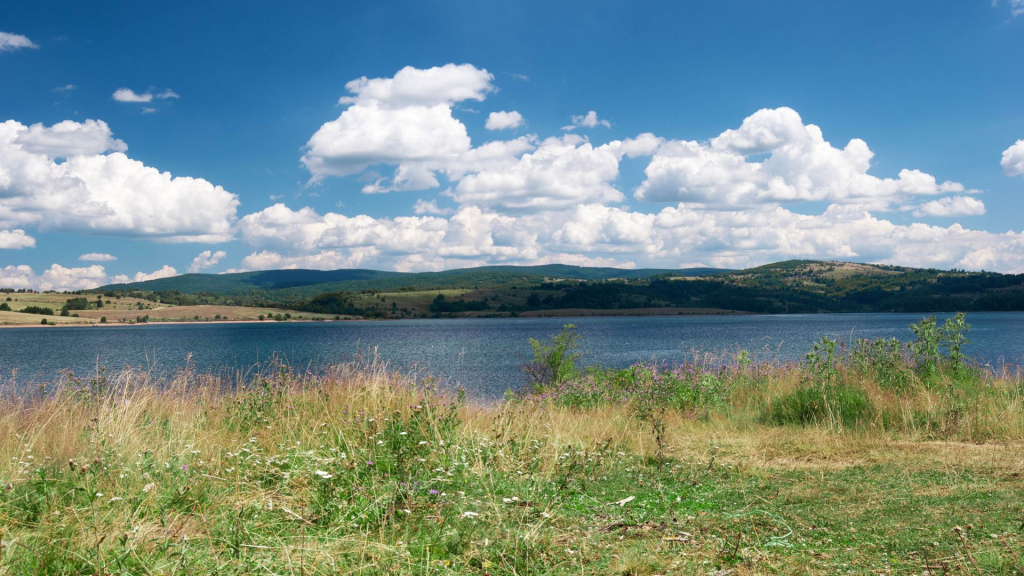 Vlasinsko jezero