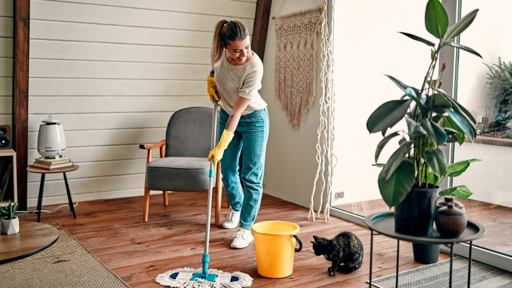 quick house cleaning